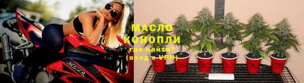 ешки Гусев