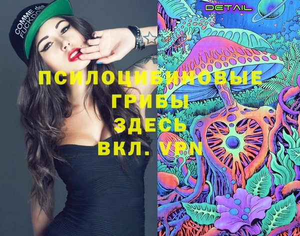 метамфетамин Гусь-Хрустальный