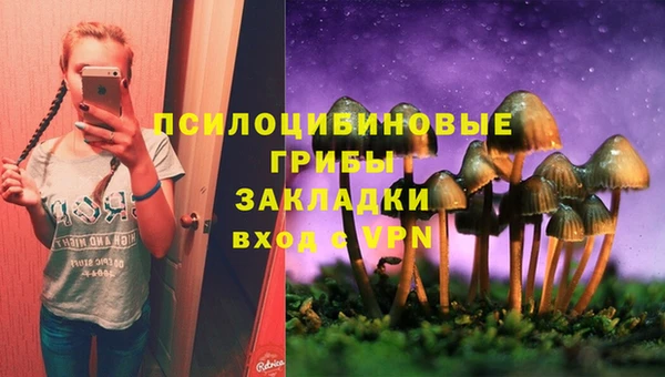 метамфетамин Гусь-Хрустальный