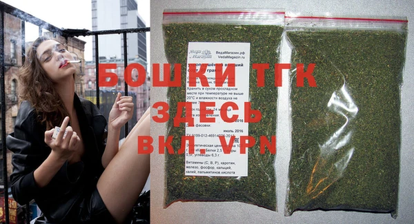ешки Гусев