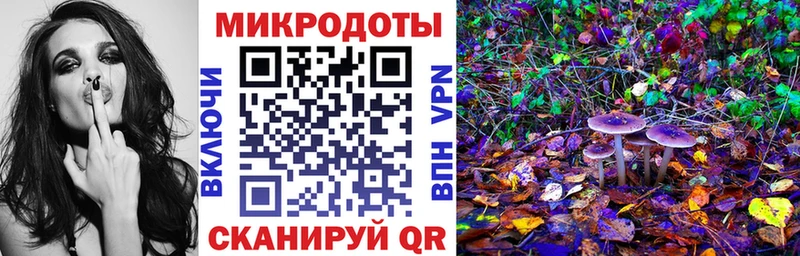 Псилоцибиновые грибы Psilocybine cubensis  Зверево 