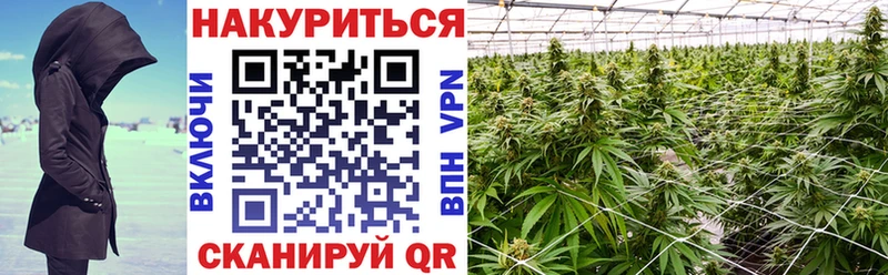 как найти закладки  Зверево  МАРИХУАНА сатива 